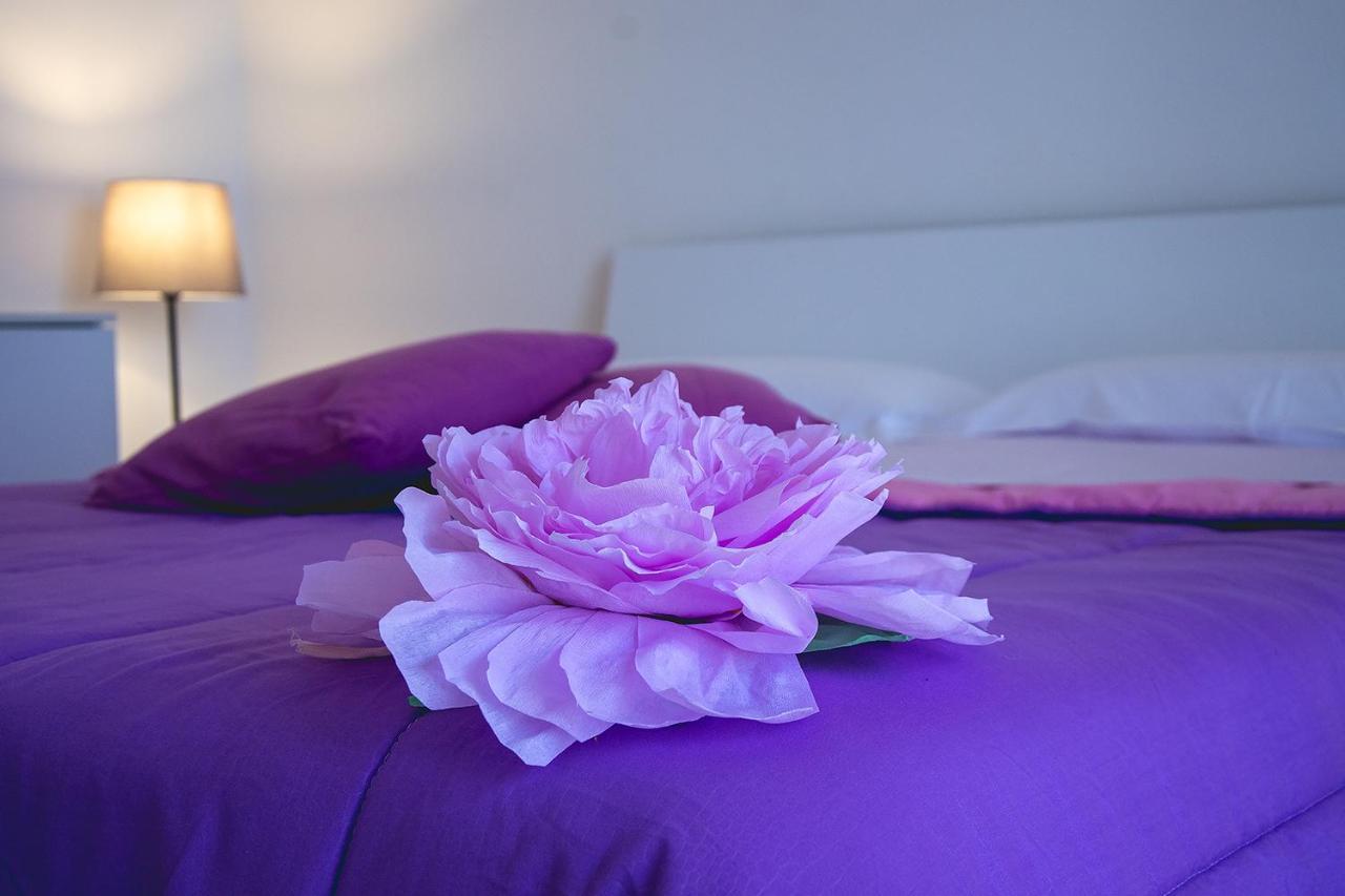 B&B A Casa Di Amici Caserta Exteriér fotografie